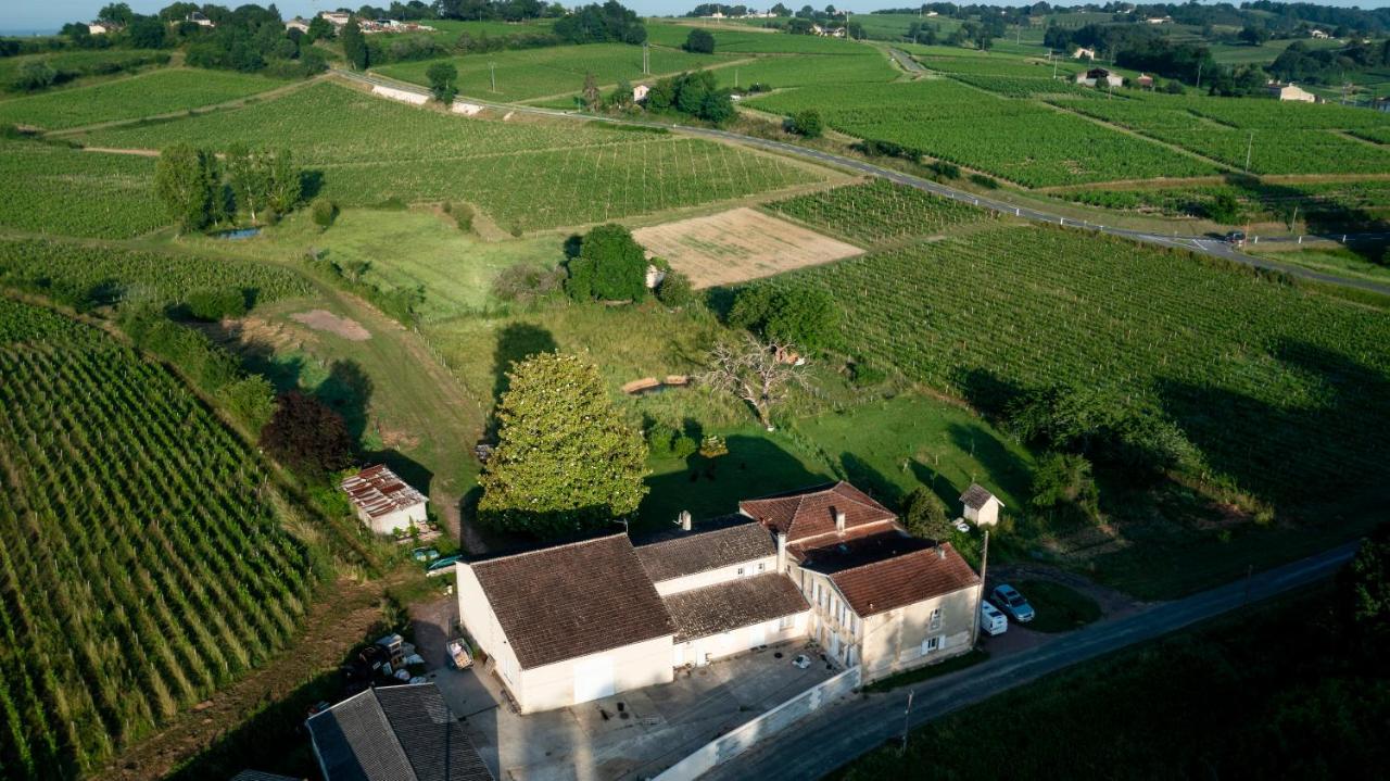 Chambre D'Hote Pres Bordeaux Au Chateau Camponac Bourg-sur-Gironde Exteriér fotografie